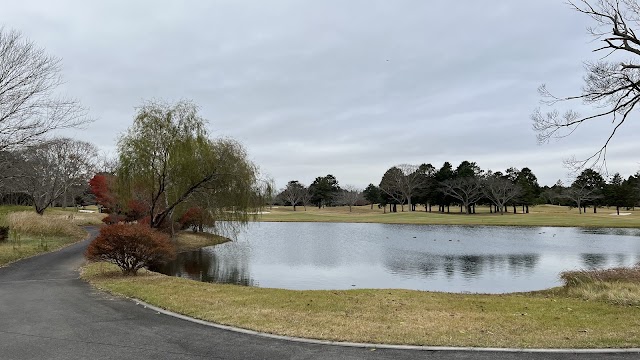 The Royal Golf Club - Photo 7