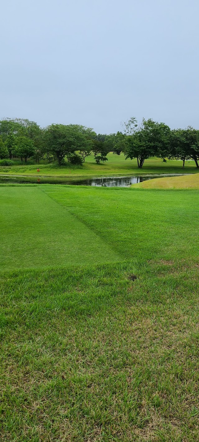 The Royal Golf Club - Photo 1