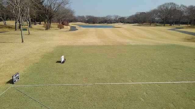 The Royal Golf Club - Photo 3