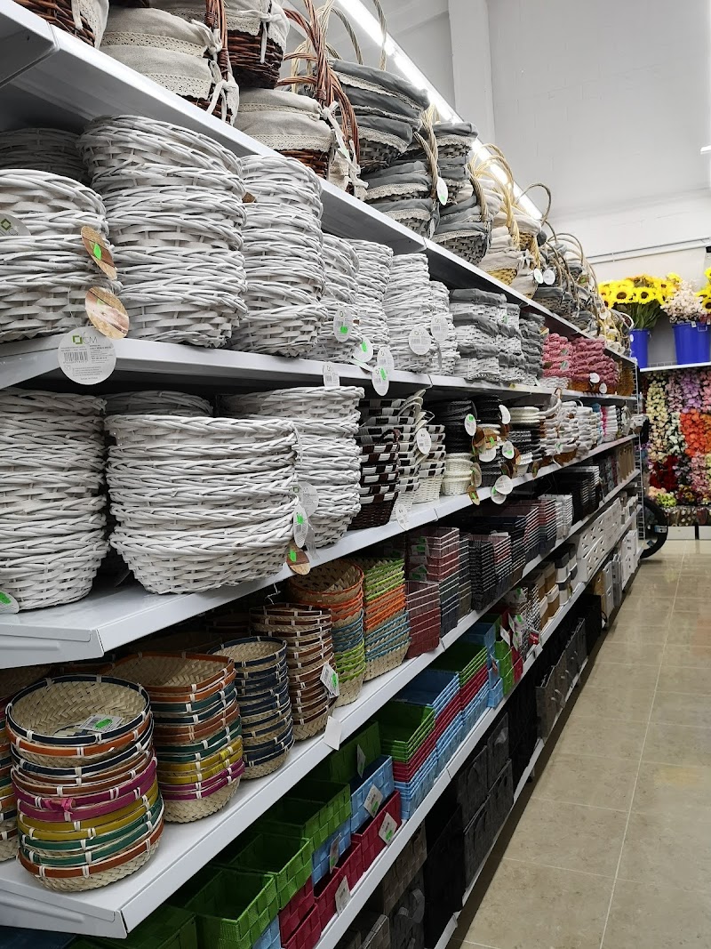 Multihogar Cambados photo 4