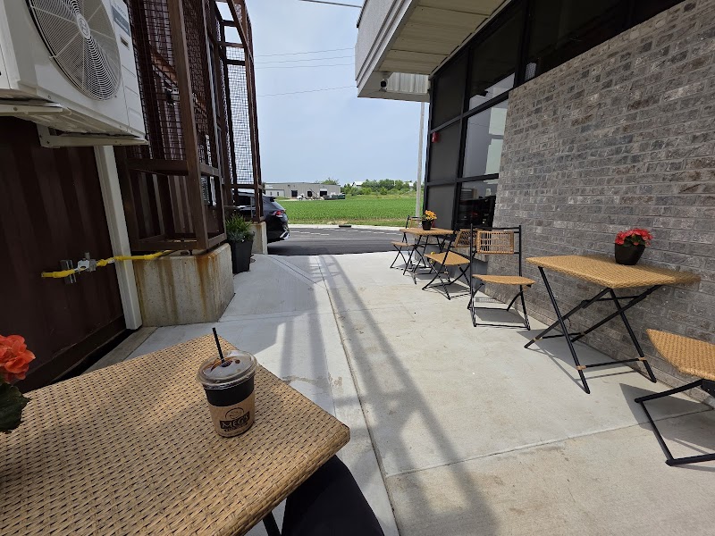 Meg's Daily Grind photo 1