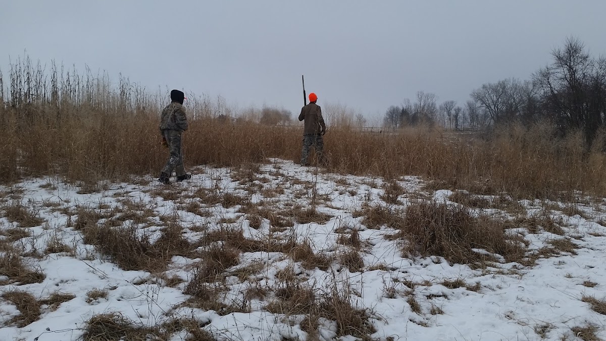 3 Hills Hunting Preserve