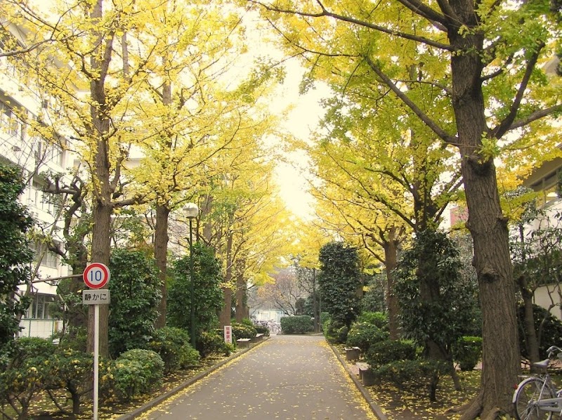 杏林大学 三鷹キャンパスの写真（東京都三鷹市）
