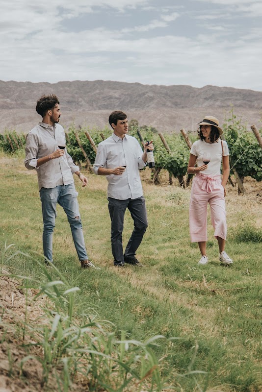 Bodegas Bórbore (Viñedos Pie de Palo S.A.)