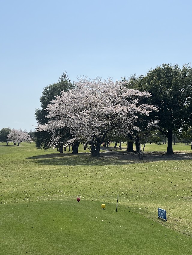 Riverside Phoenix Golf Club - Photo 7