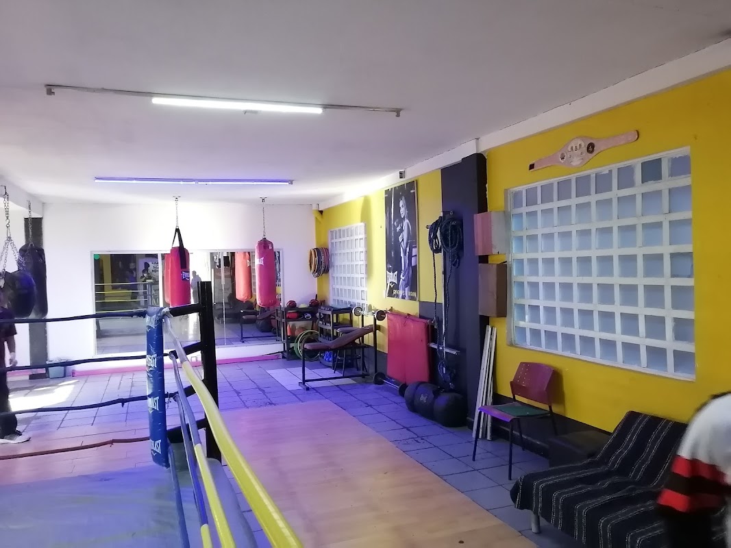 M&N Boxing Training School