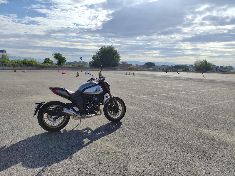 Driving License Renewal Driving School D.E. Srl