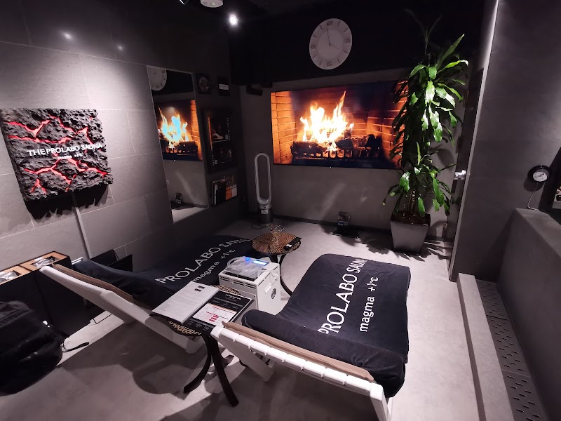 THE PROLABO SAUNA（ザ・プロラボサウナ） 3