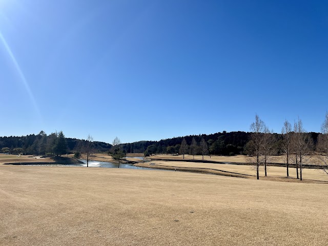 Edosaki Country Club - Photo 9