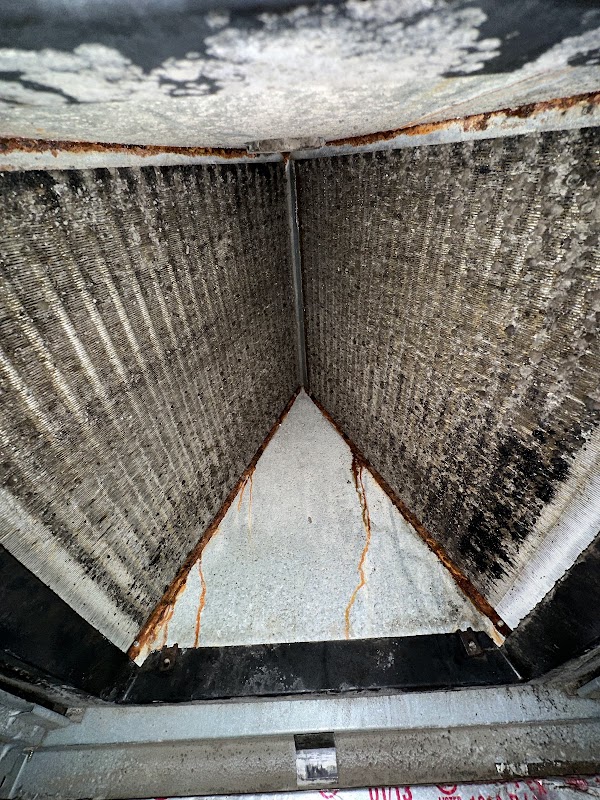 Pure Maintenance Mold Remediation - Orange Park — photo