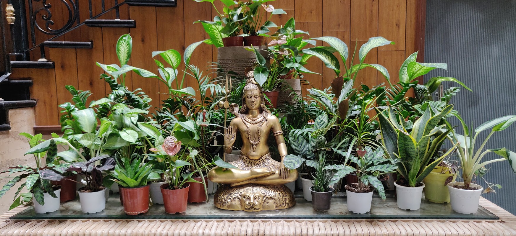 SG Hostel