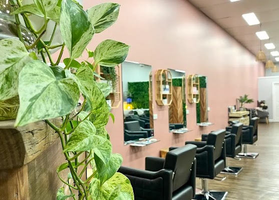 SASS&CO on Darling photo 2