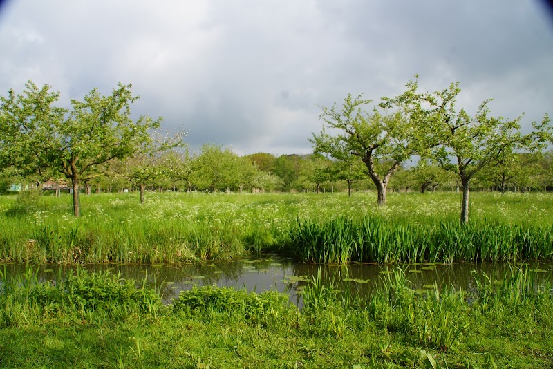Landgoed Bredius