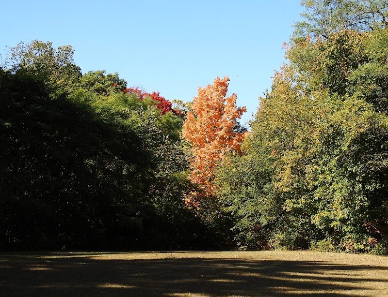 Northwood Park photo 2
