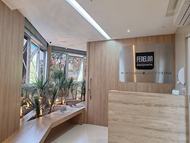 Fenelon Endodontia - foto 2