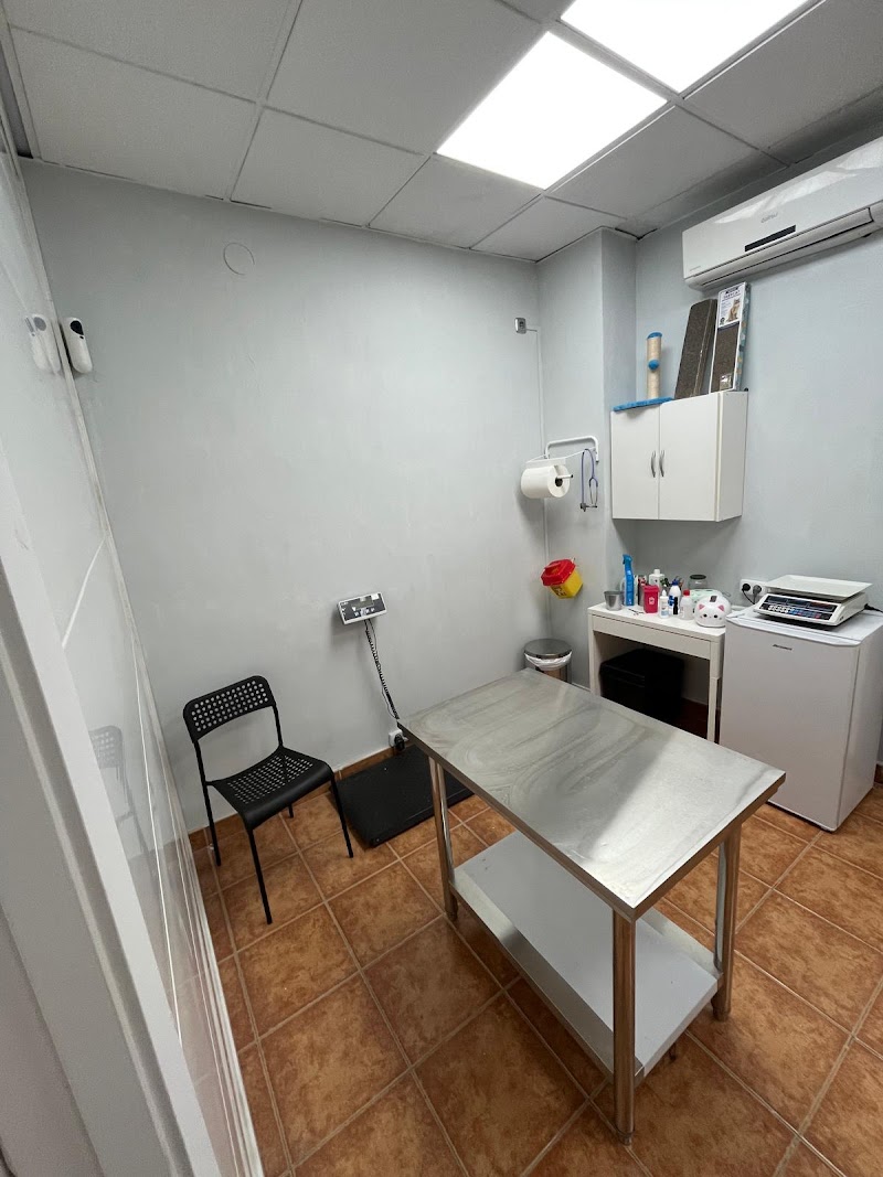 Clinica Veterinaria VIDA