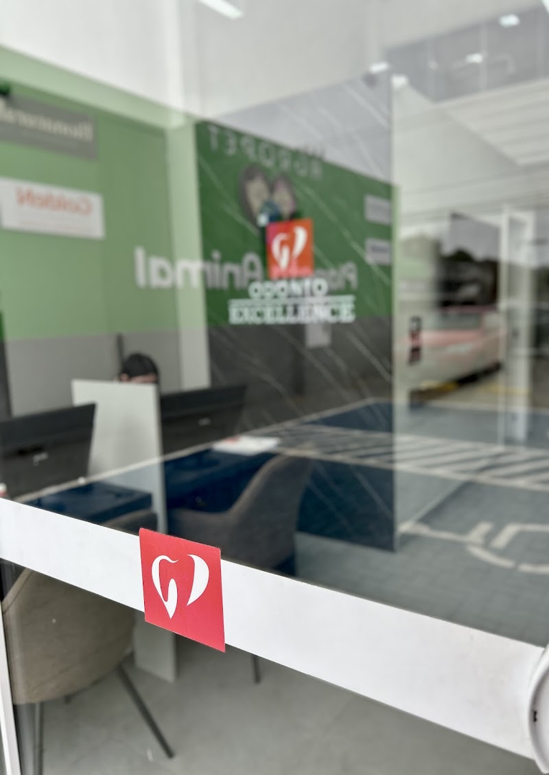 Odonto Excellence - Campeche - Dentista - foto 4