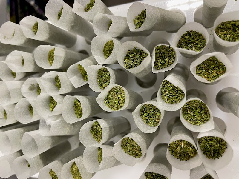 Buddy Boy Brands Marijuana