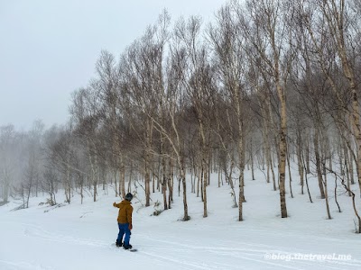 Shiga Kogen Nishidateyama Ski Area - 3