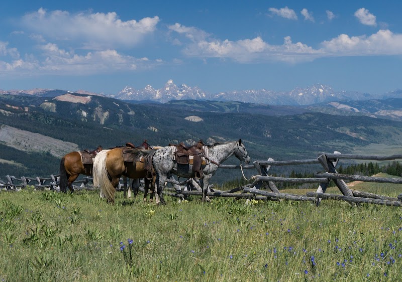 Darwin Ranch - Photo 2