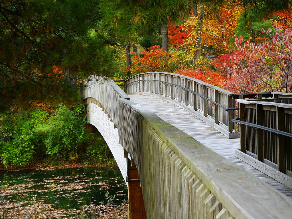 The Gardens at SIUE photo 3