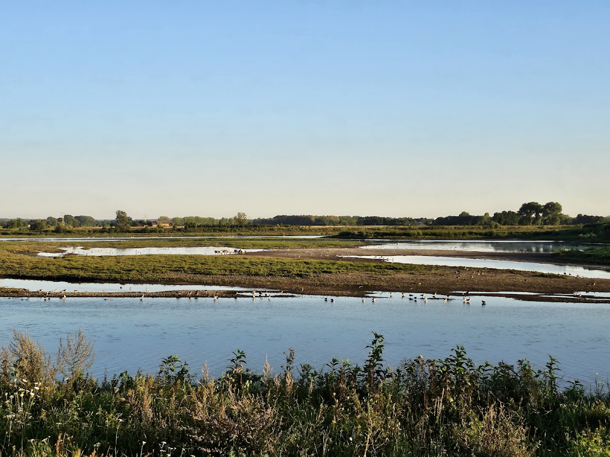 Rivierpark Maasvallei