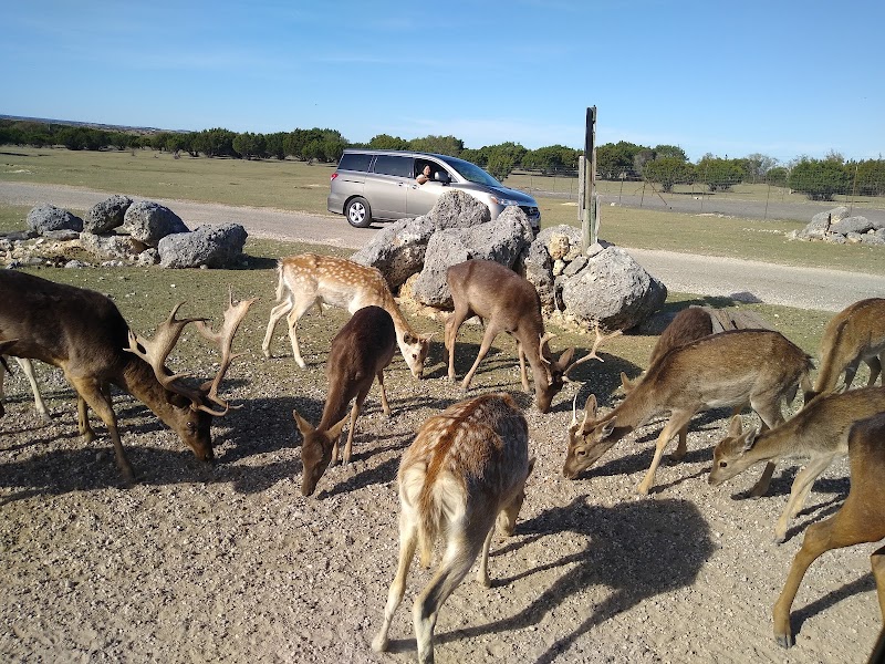 Topsey Exotic Ranch & Park - Photo 2