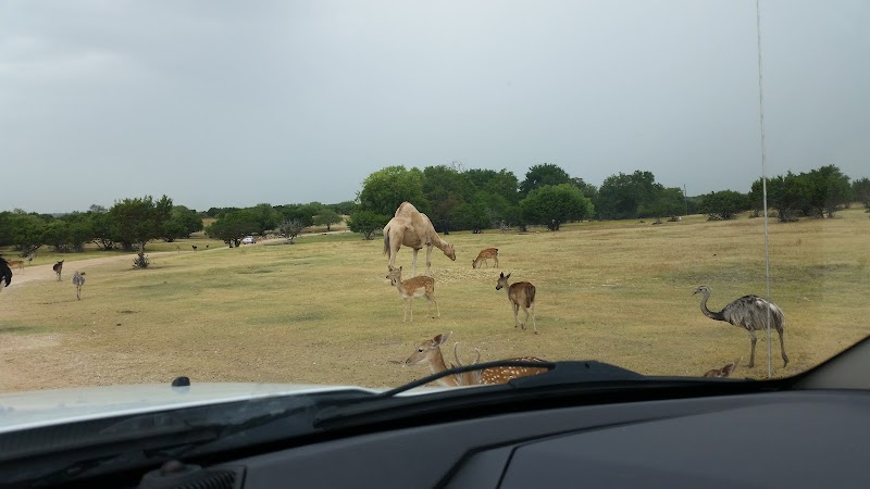 Topsey Exotic Ranch & Park - Photo 3