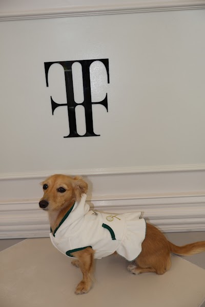 Fetch & Fifth | Luxury Pet Boutique