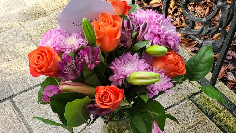 Beyond the Forest photo 3