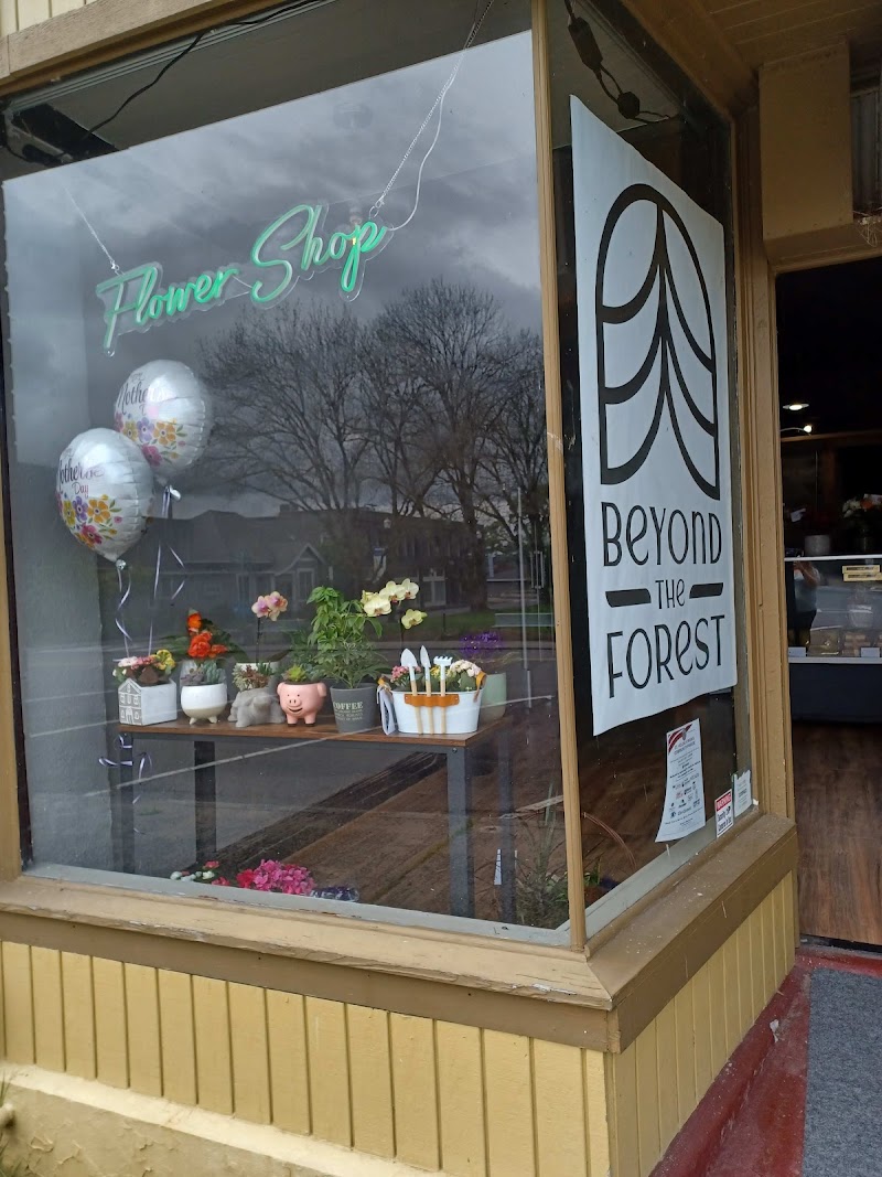 Beyond the Forest photo 1