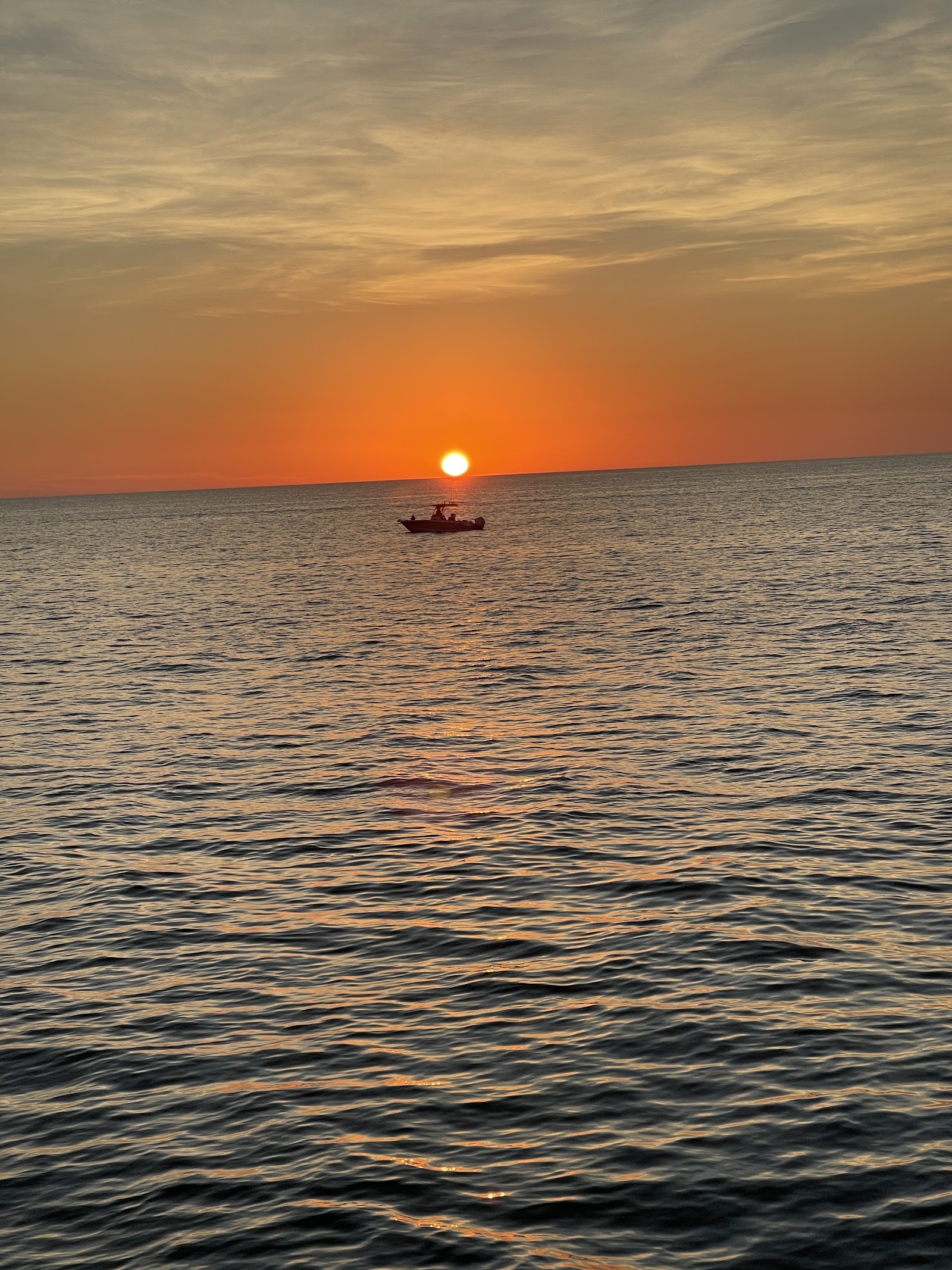 Pure Florida