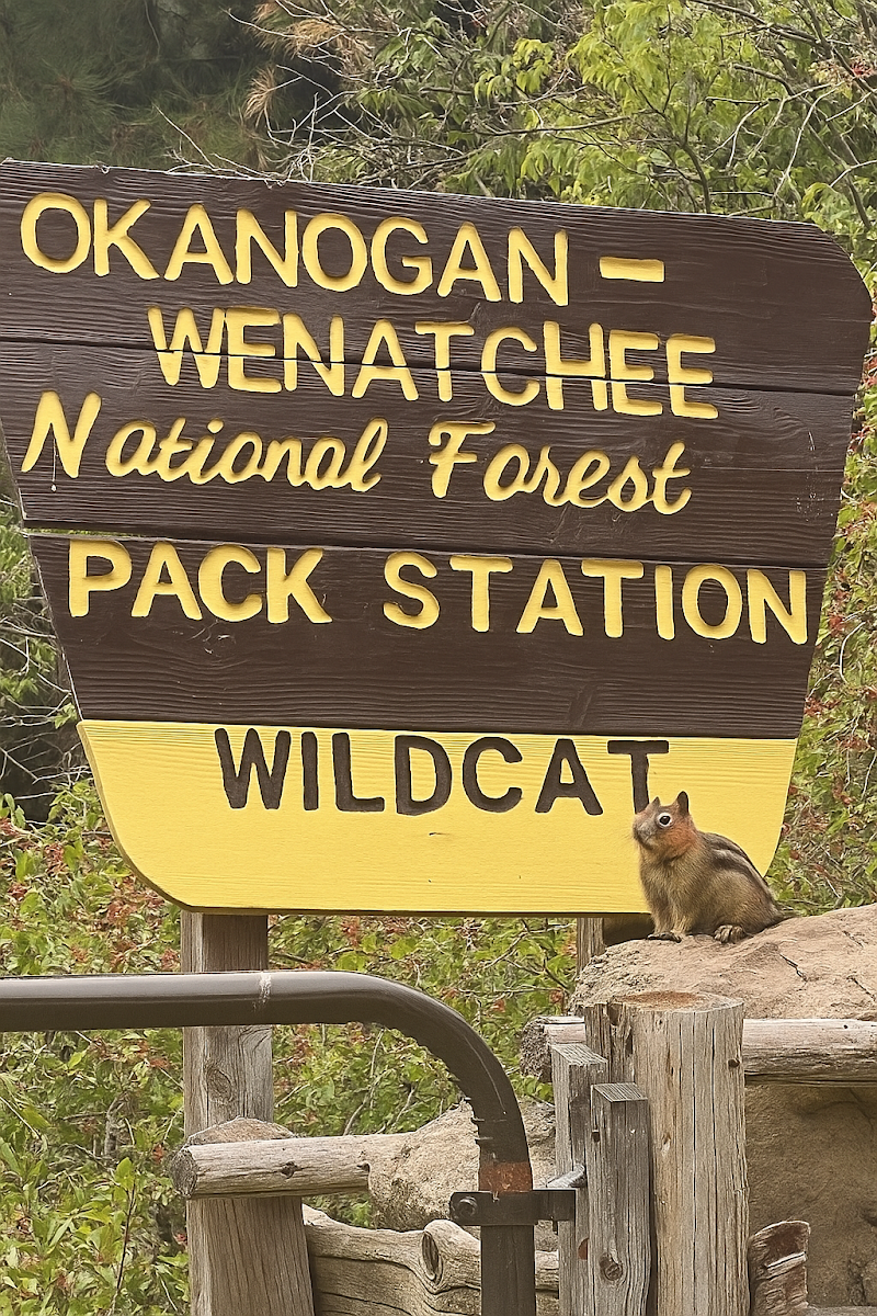 Chinook Pass Outfitters - Photo 1