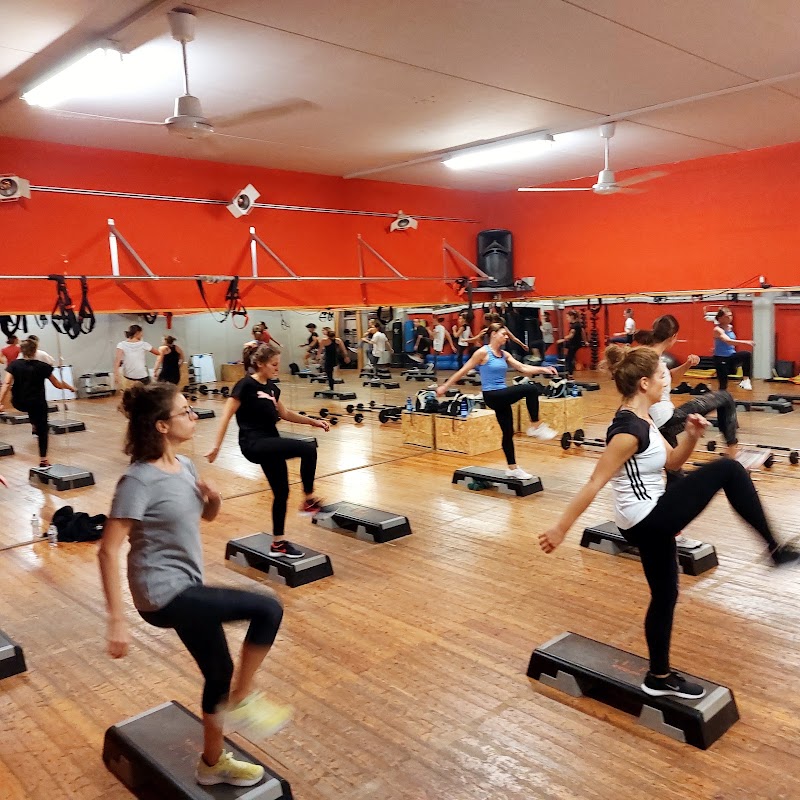 Palestra Millenium