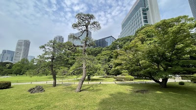 Hamarikyu Gardens - 3