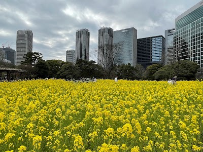 Hamarikyu Gardens - 4