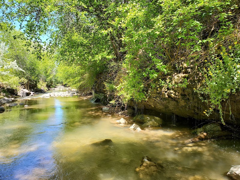 The Oaks at Spanish Fork photo 4