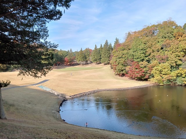 Grand Slam Country Club - Photo 4