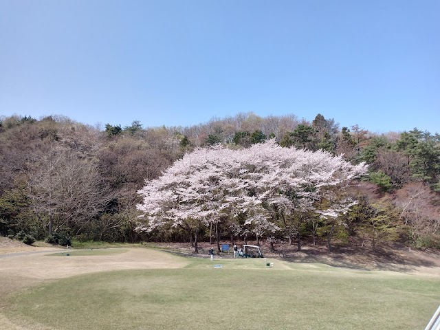 Grand Slam Country Club - Photo 8