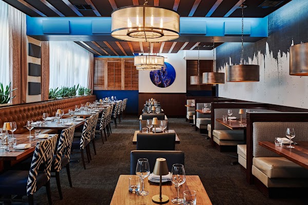 Rays In the City Atlanta