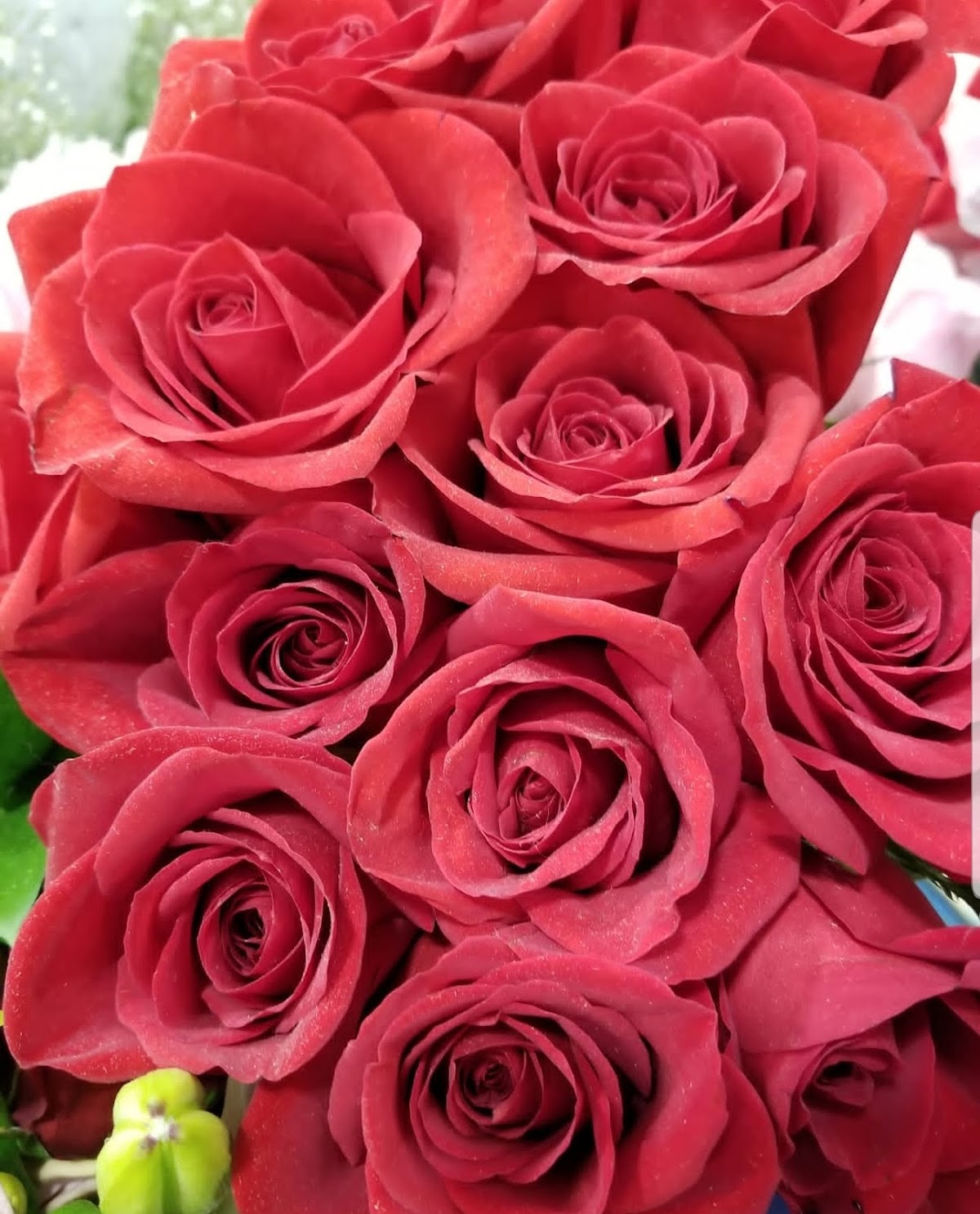 Designers Choice LLC: Google Places image 3