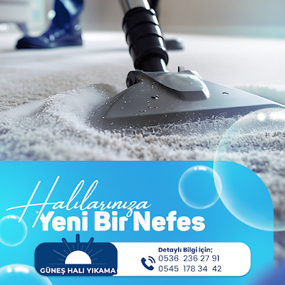 GÜNEŞ HALI YIKAMA VE KOLTUK DÖŞEME - Temizlik