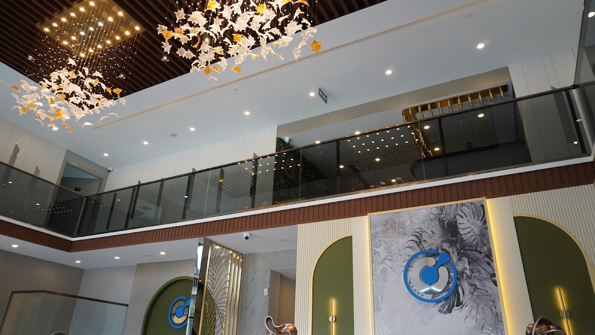 BlueMagic Group Clinic | Hair Transplant & Dental Experts in Dubai 3