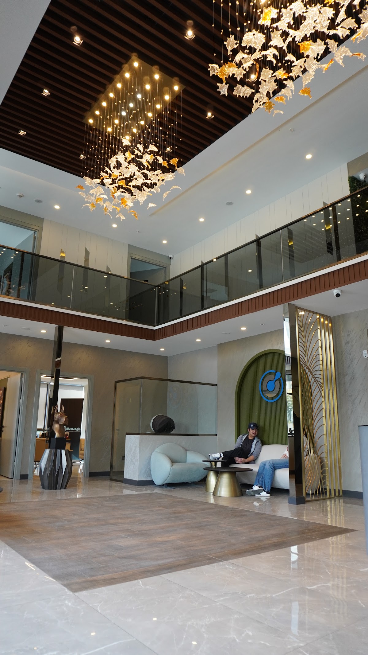 BlueMagic Group Clinic | Hair Transplant & Dental Experts in Dubai