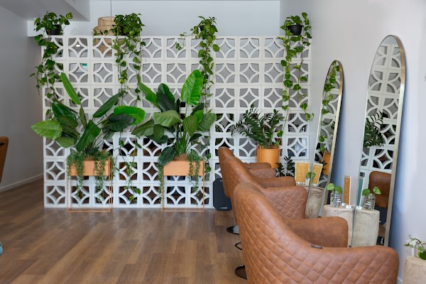 Little Birdie Hair Co