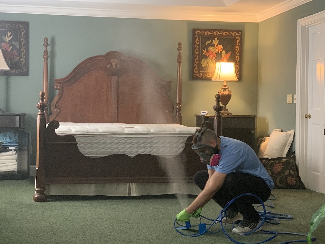 Pure Maintenance Mold Remediation - Jacksonville Beach — photo