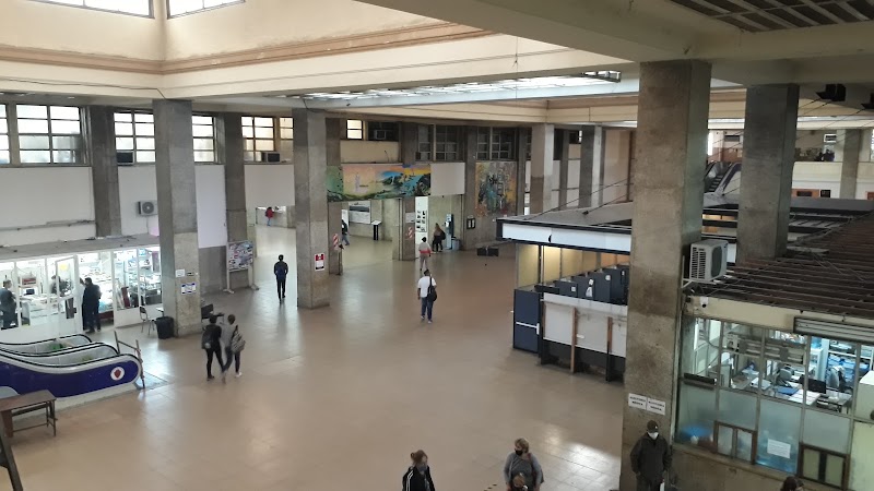 Gallery 5