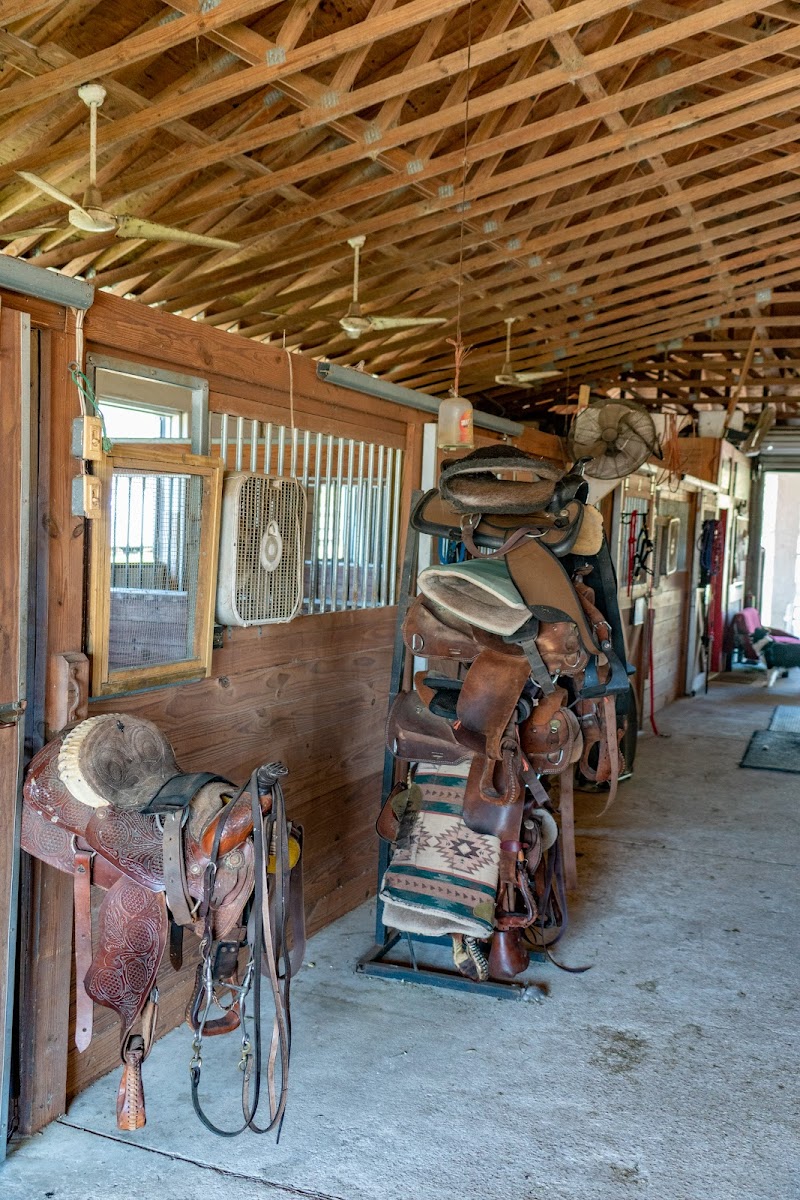 Happy Acres Ranch - Photo 5