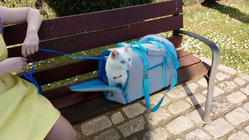 CLÍNICA VETERINARIA DEL CANTÓN photo 4