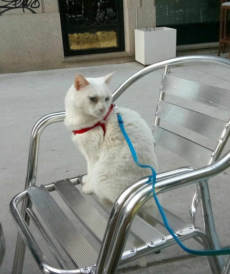 CLÍNICA VETERINARIA DEL CANTÓN photo 2